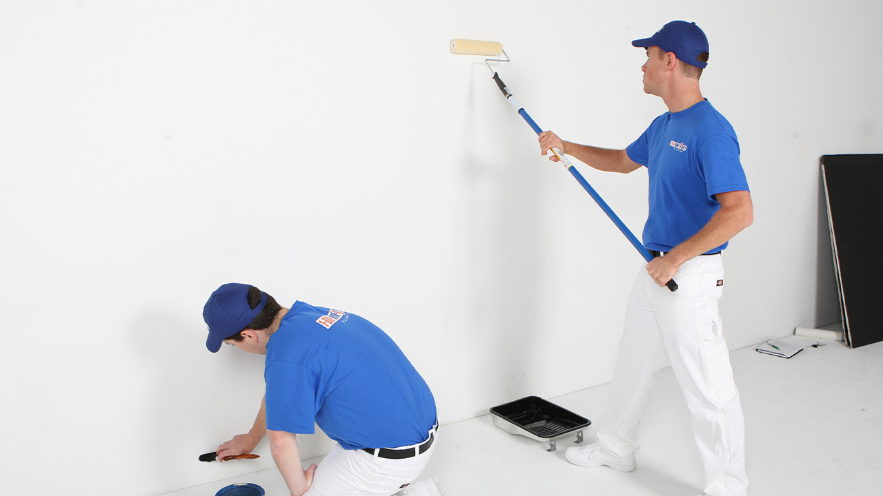 Gölköy Boya Badanacı